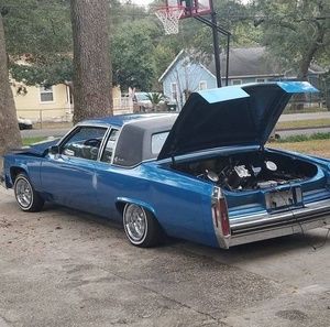 Meet your Posher, Nealeon